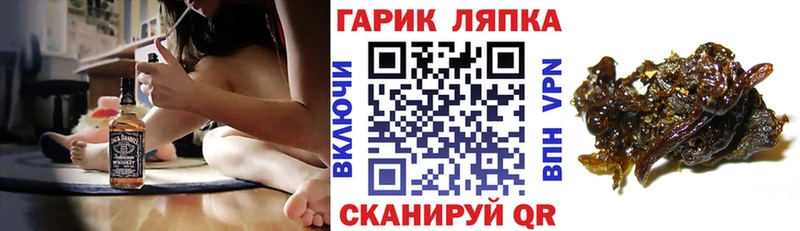 где продают наркотики  Сальск  ГАШИШ Изолятор 