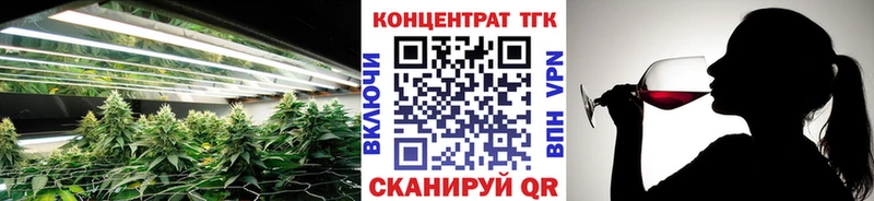 где можно купить   Сальск  ТГК концентрат 