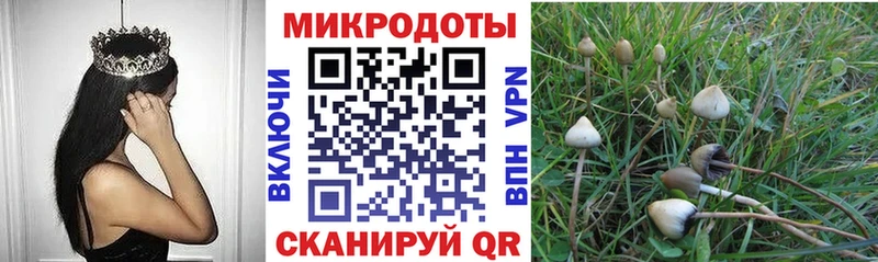 где купить наркоту ссылка на мегу tor Псилоцибиновые грибы прущие грибы Сальск