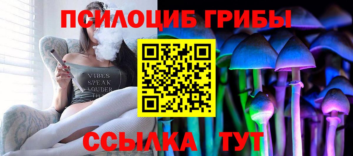 Галлюциногенные грибы Magic Shrooms  Вход с VPN  Псилоцибиновые грибы GOLDEN TEACHER  Сальск 