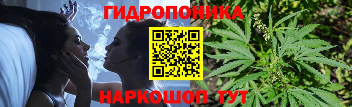 Бошки марихуана Bruce Banner Сальск